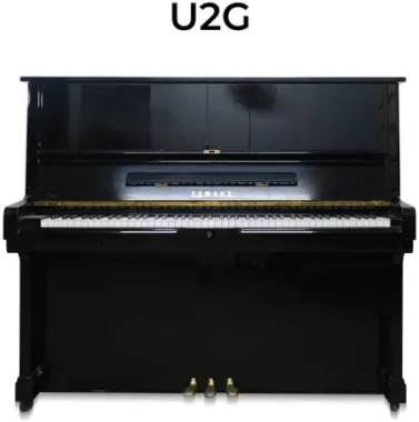 YAMAHA U2G